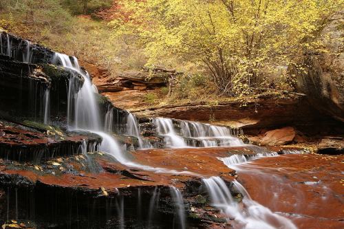 2907zion[2]